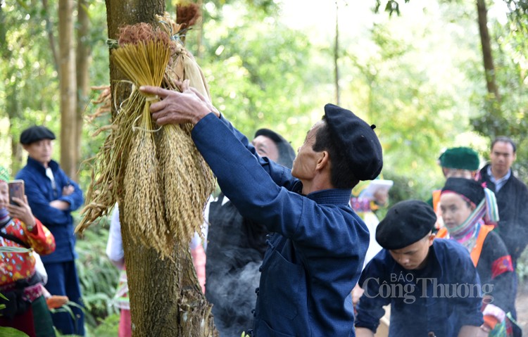 Nghi lễ cúng rừng: Nâng cao ý thức bảo vệ rừng của đồng bào Tây Bắc