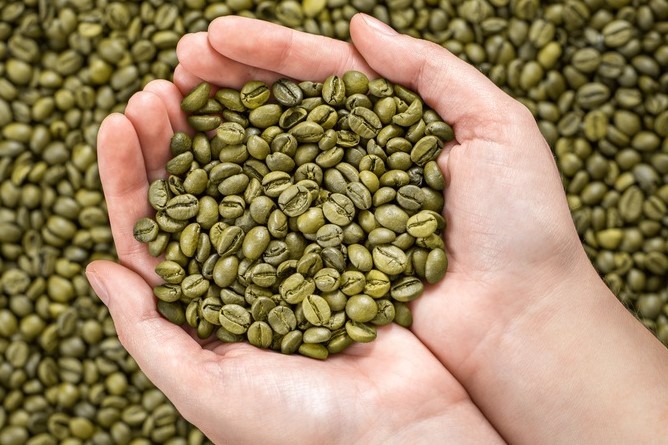 Giá cà phê hôm nay, 31/3: Giá cà phê trong nước giảm 300 đồng/kg