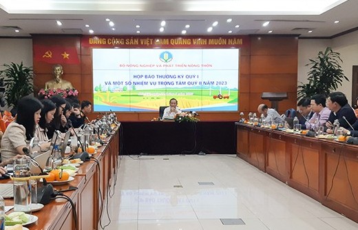 Giá heo hơi liên tục giảm, Bộ Nông nghiệp nói gì?
