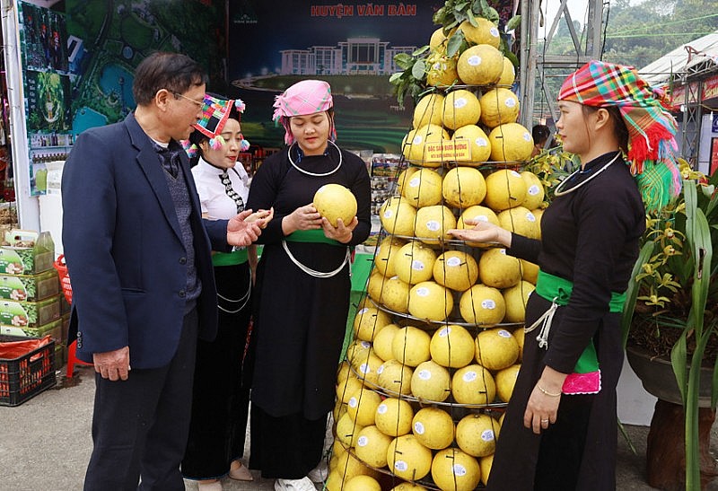 Lào Cai: Xúc tiến thương mại đưa sản phẩm OCOP đến với người tiêu dùng