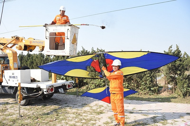 Tổng công ty Điện lực TP. Hà Nội khuyến cáo vi phạm an toàn hành lang lưới điện