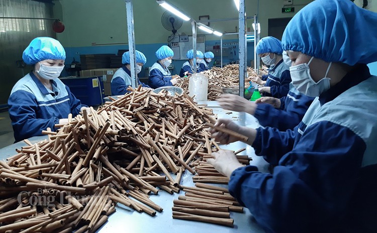 FTA Việt Nam - Israel: Hàng hóa nông sản Việt Nam có nhiều lợi thế