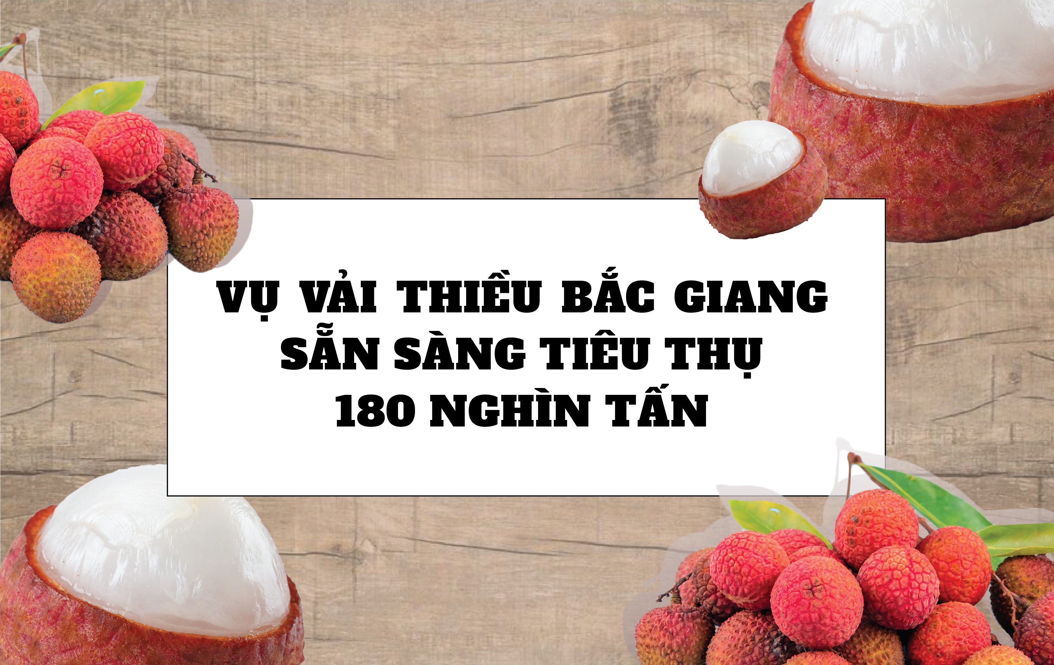 Longform | Vụ vải thiều Bắc Giang năm 2023: Sẵn sàng tiêu thụ 180 nghìn tấn