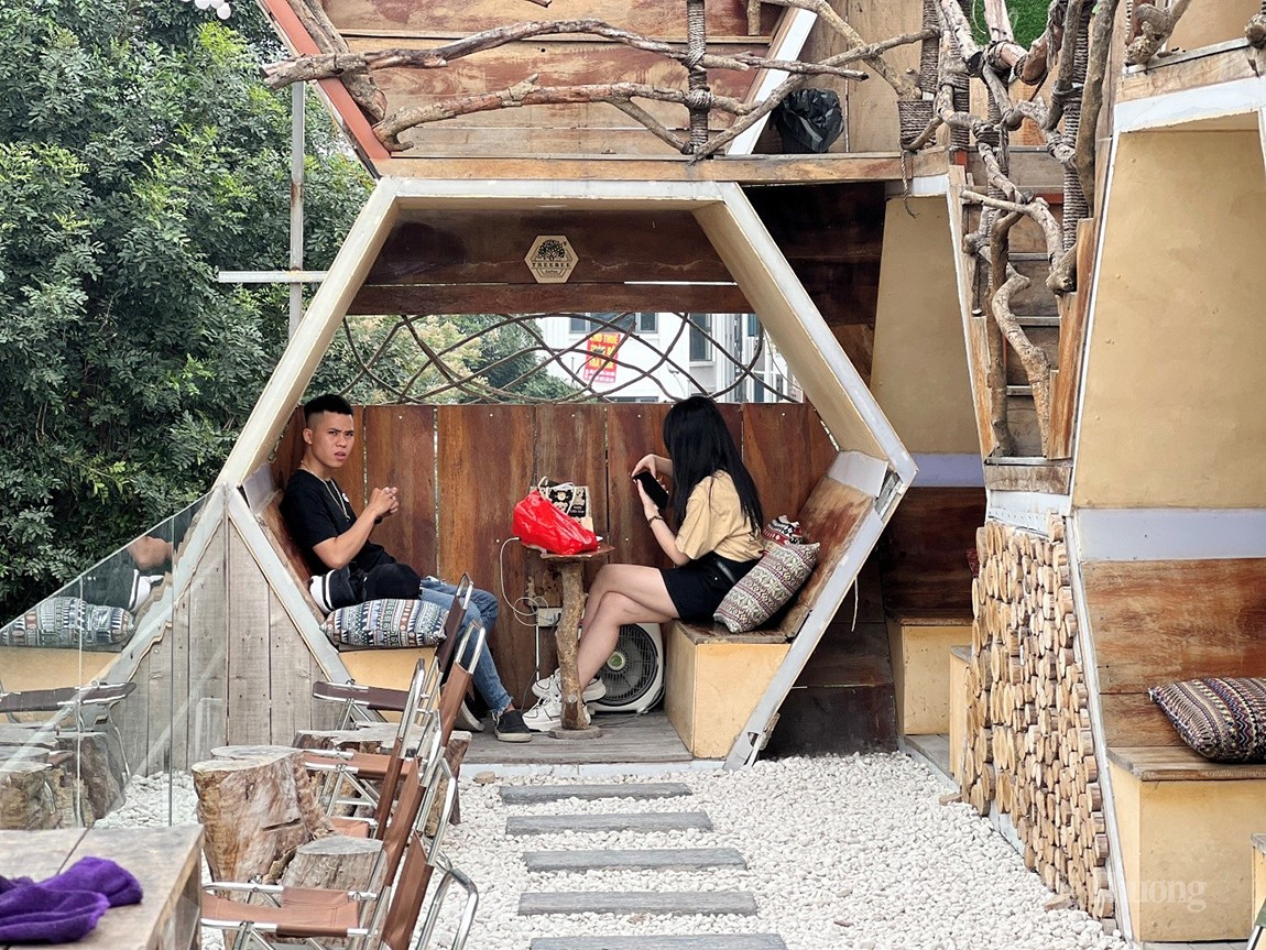 Quán cafe “tổ ong” tại Hà Nội: Hút khách bởi sự độc đáo