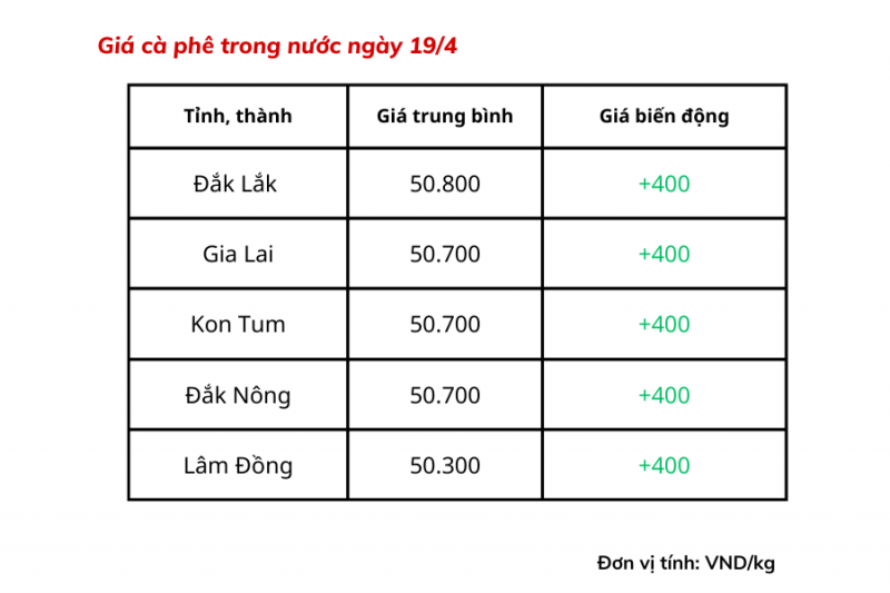 Giá cà phê trong nước hôm nay dao động từ 50.300 – 50.800 đồng/kg.