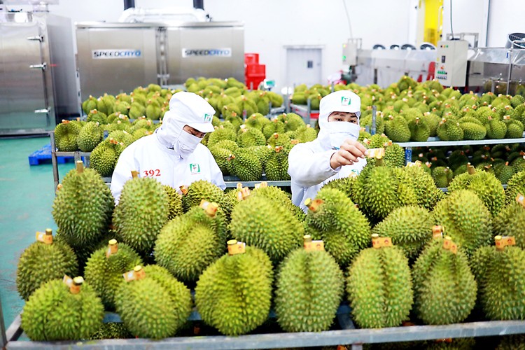 Từ Quý II/2023, xuất khẩu của Việt Nam sang thị trường Trung Quốc sẽ khởi sắc?