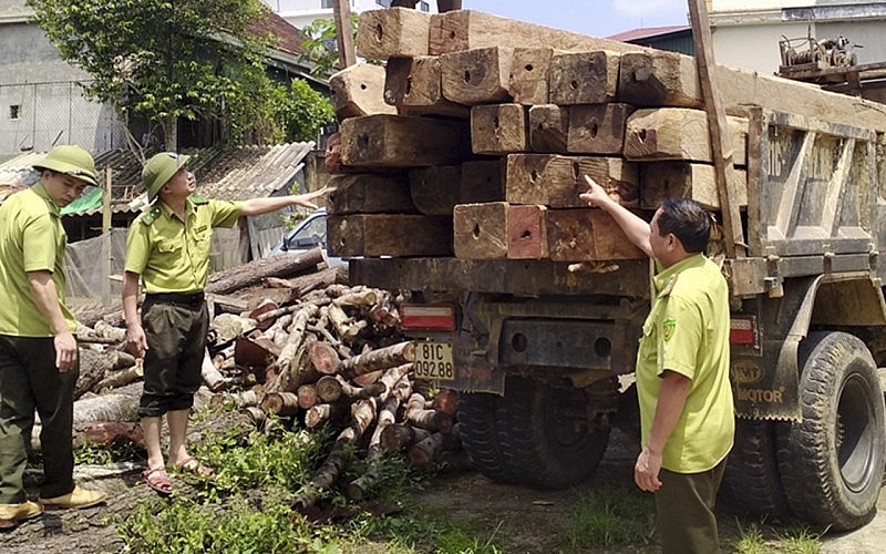 Hà Tĩnh: Phát hiện, thu giữ 30 hộp gỗ lậu vô chủ