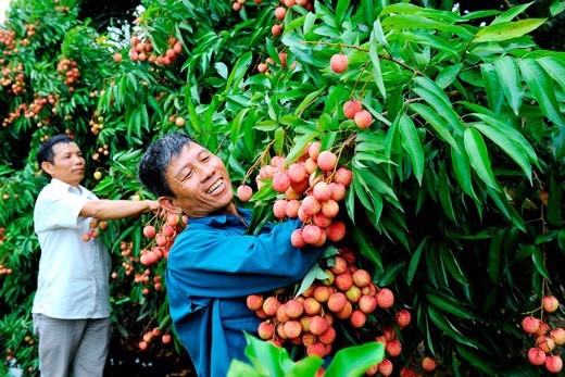 Bài 1: Chất lượng - “thước đo” của tiêu thụ