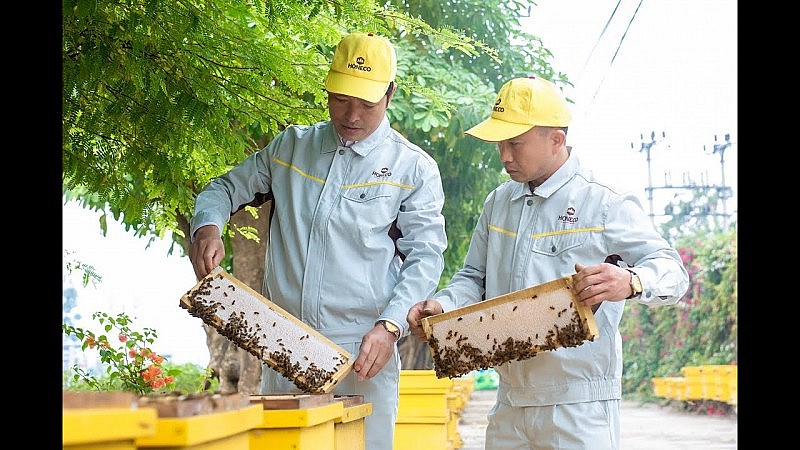 Để mật ong thương hiệu Việt xuất khẩu thành công ra thị trường nước ngoài