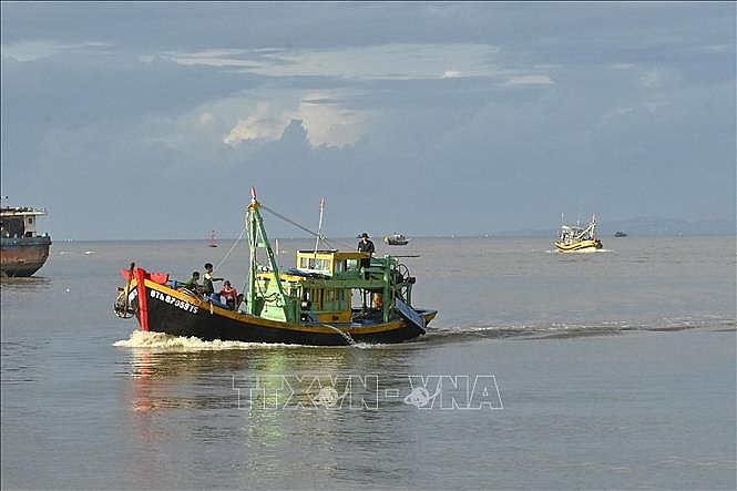 Tàu đánh bắt hải sản về Cảng cá Phan Thiết.