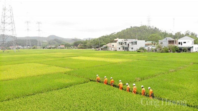 Đảm bảo an toàn cho lưới truyền tải điện quốc gia trong mùa nắng nóng