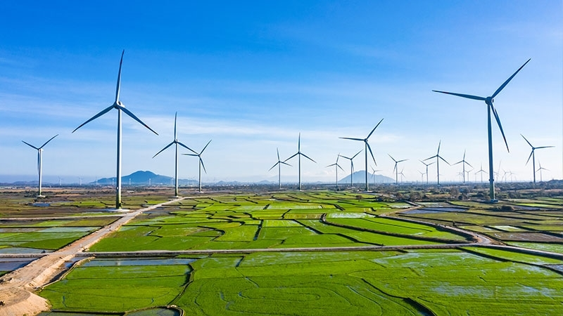 Quy hoạch đã tăng cao quy mô các nguồn năng lượng tái tạo, vốn có tiềm năng lớn của Việt Nam 