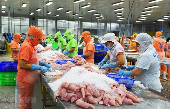 Hàng tồn kho tăng, xuất khẩu cá tra sang Mỹ giảm sâu