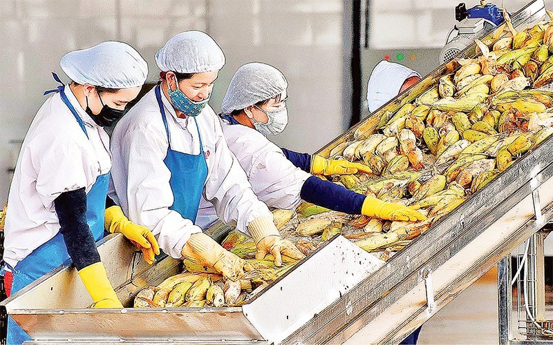 Mở rộng cơ hội hợp tác qua các FTA