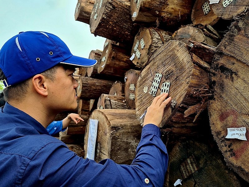 Đẩy mạnh ngoại giao thương mại, chặn đà lao dốc của xuất khẩu đồ gỗ