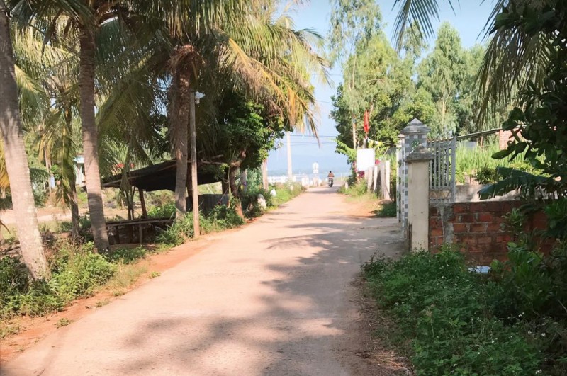 Bình Định: Làm rõ vụ em bé vặn tay ga xe máy tông vào tường làm 3 người tử vong