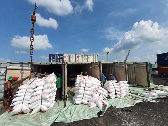 Giá lúa gạo hôm nay 28/5: Giá gạo xuất khẩu tăng
