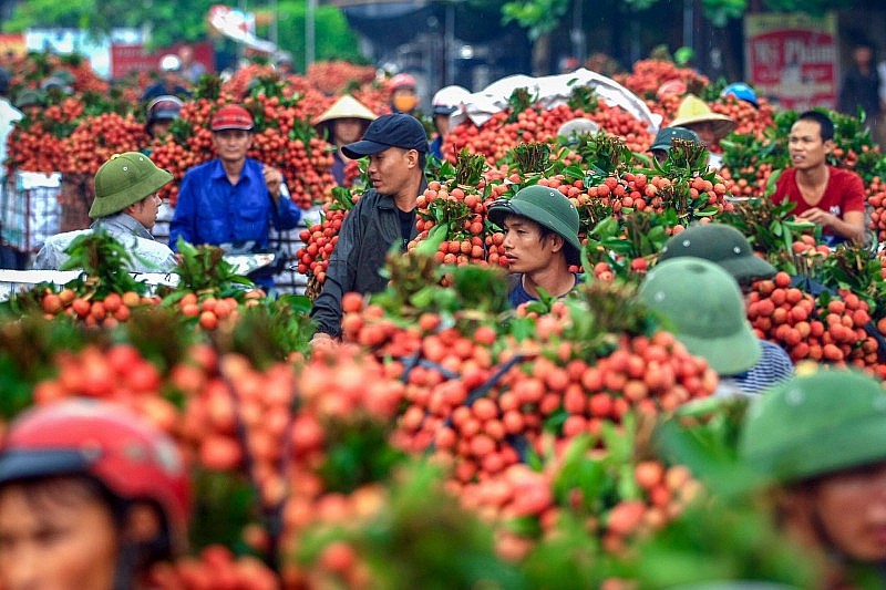 Chiều 31/5, diễn ra Hội nghị giao ban xúc tiến thương mại với hệ thống Thương vụ Việt Nam ở nước ngoài