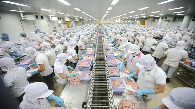 Lợi nhuận doanh nghiệp thuỷ sản lao dốc sau năm bứt phá