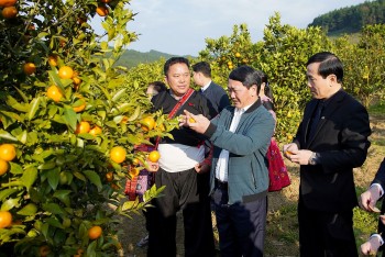 Tích cực triển khai chính sách tín dụng trong phát triển kinh tế-xã hội vùng đồng bào dân tộc thiểu số