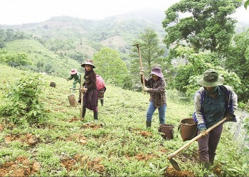 Quy định mới về hỗ trợ đất sản xuất và chuyển đổi nghề cho đồng bào dân tộc thiểu số