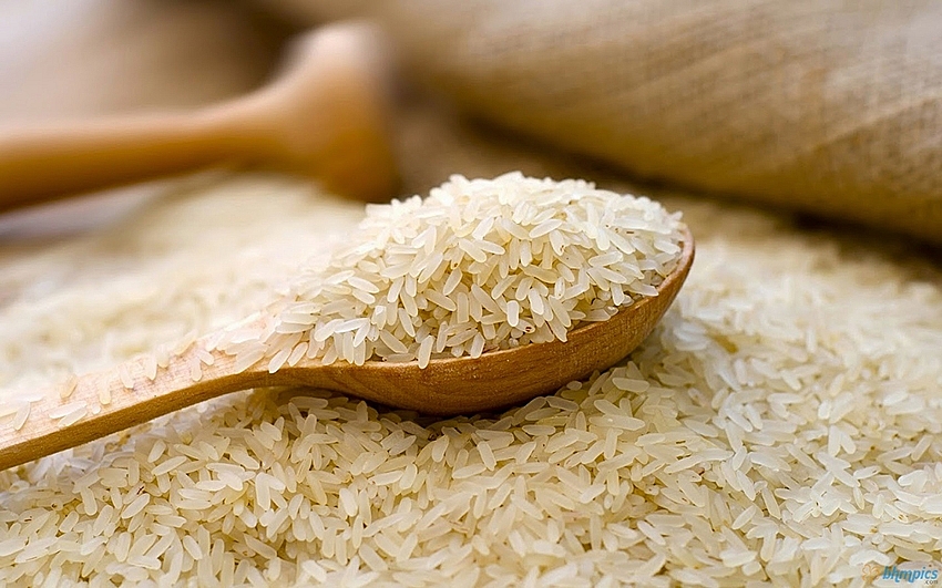 Gạo là một trong những điểm sáng trong bức tranh xuất khẩu nông lâm thủy sản 5 tháng đầu năm 2023