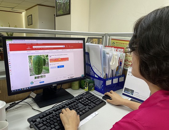 VCCI góp ý gì về Dự thảo Luật Bảo vệ quyền lợi người tiêu dùng (sửa đổi)?