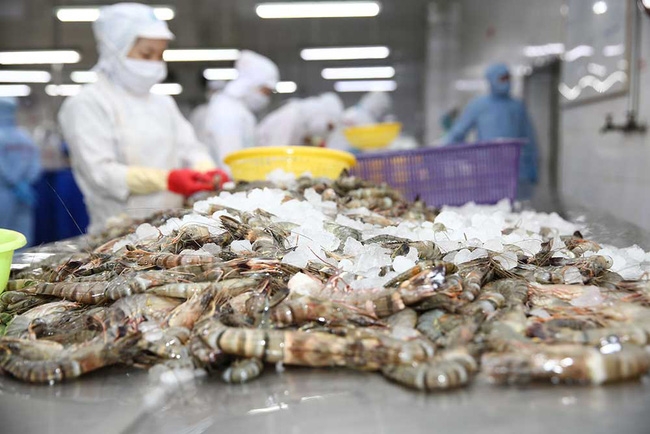 Tận dụng FTA đưa ngành tôm Việt vào chu kỳ tăng trưởng mới
