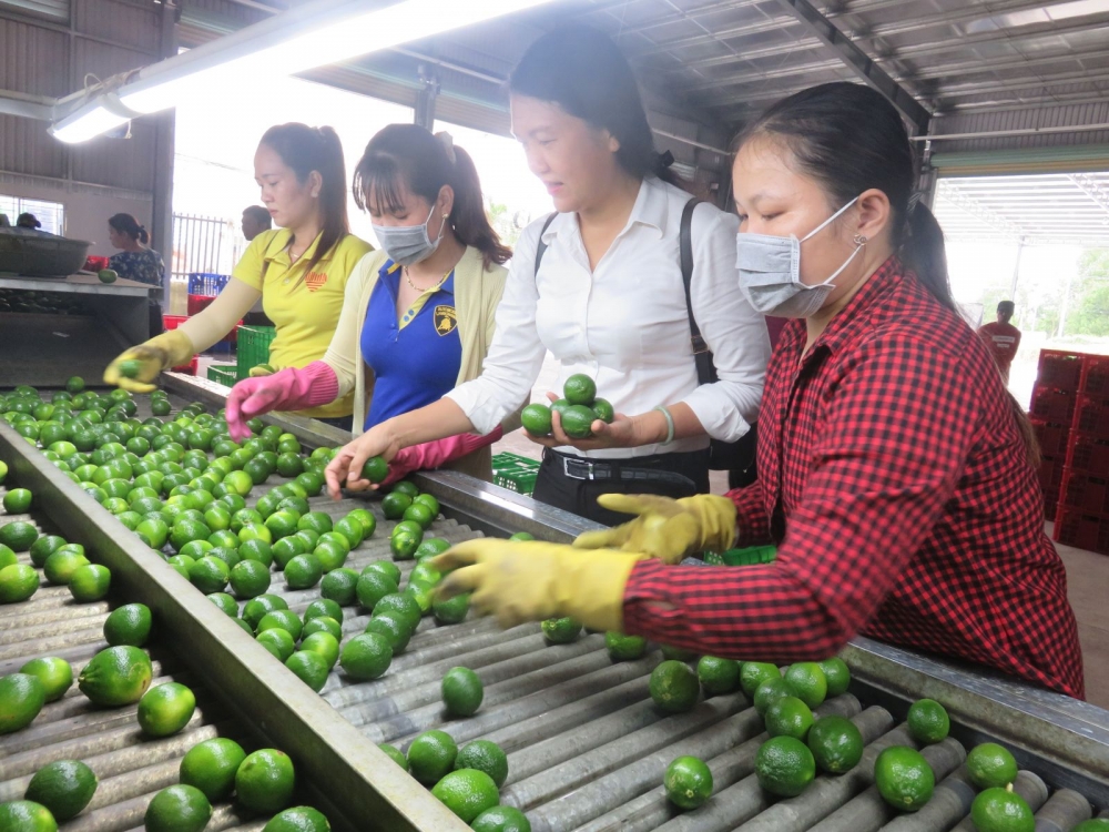 Long An gắn kết các cơ sở công nghiệp nông thôn