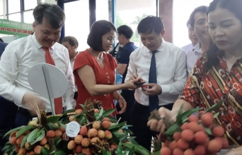 Khai mạc phiên chợ quảng bá, tiêu thụ vải thiều Thanh Hà và nông sản, thực phẩm an toàn tại Hà Nội