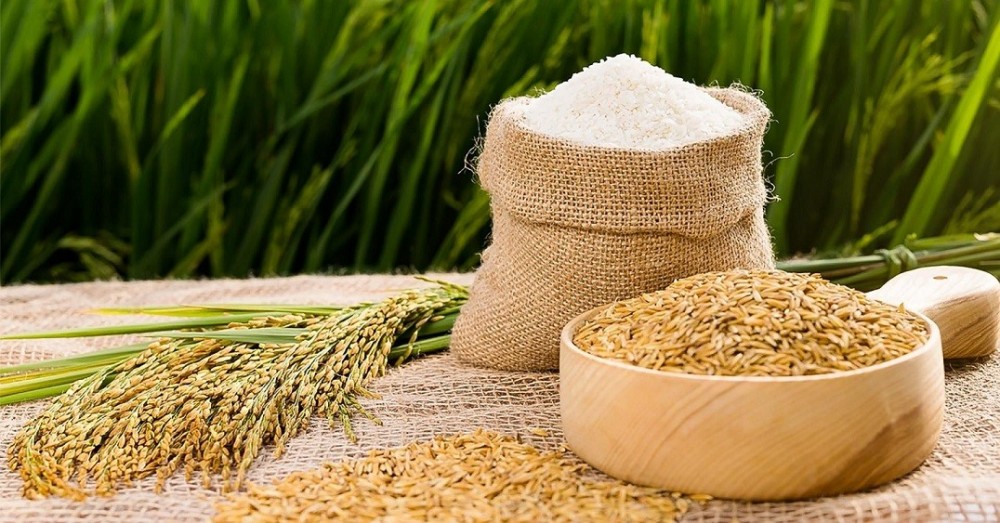 Giá lúa gạo hôm nay 19/4: Tăng 50 đồng/kg với gạo