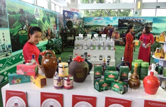 Thương mại Lào Cai 9 tháng 2021: Biến động khó khăn