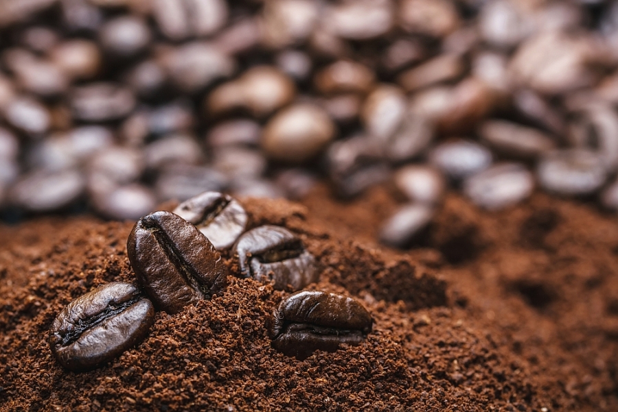 Tháng 3/2023, xuất khẩu cà phê sang Indonesia, Nga, Algeria tăng trưởng 3 con số