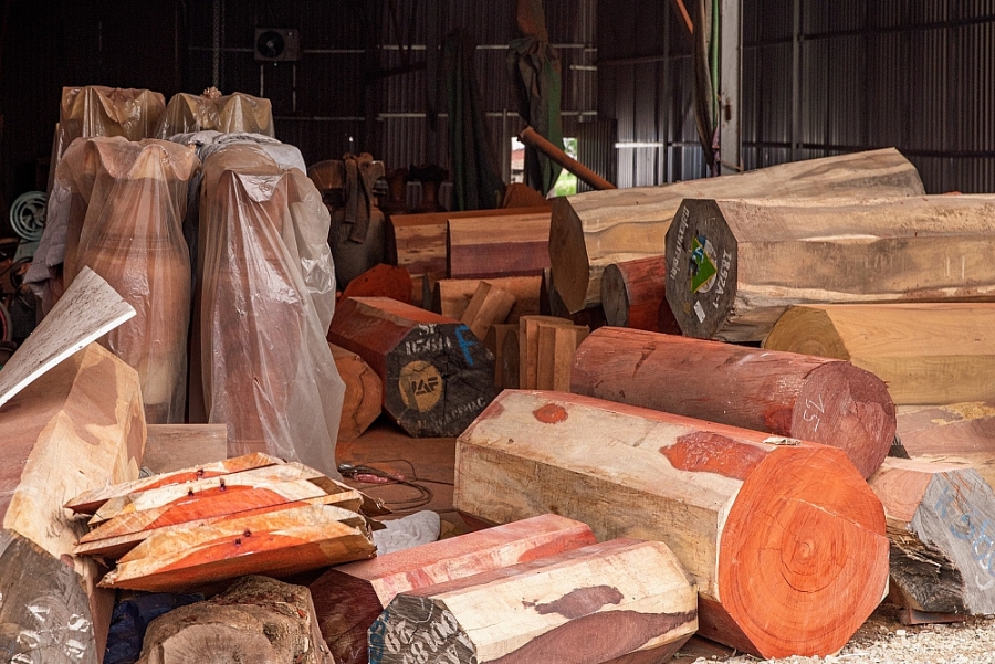 trách nhiệm giải trình  trong nhập khẩu gỗ tại Việt Nam