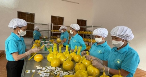 Thực thi UKVFTA, Việt Nam liên tục xuất siêu sang thị trường Anh