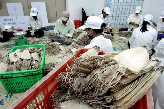 Xuất khẩu mực, bạch tuộc năm 2023 dự kiến mang về 875 triệu USD
