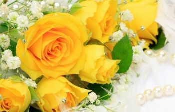 Bộ trưởng Trần Tuấn Anh gửi thư nhân kỷ niệm 73 năm Ngày truyền thống ngành Thanh tra Việt Nam