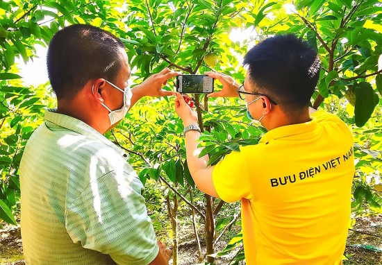 Đưa nông sản lên sàn thương mại điện tử: Nâng chất cho nông sản Việt