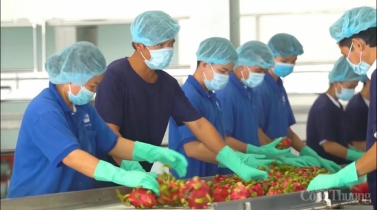 Vượt kỷ lục về kim ngạch, xuất nhập khẩu tự tin bước vào năm 2023