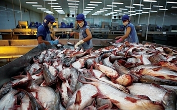 Cá tra Việt Nam chinh phục hơn 140 thị trường trên thế giới