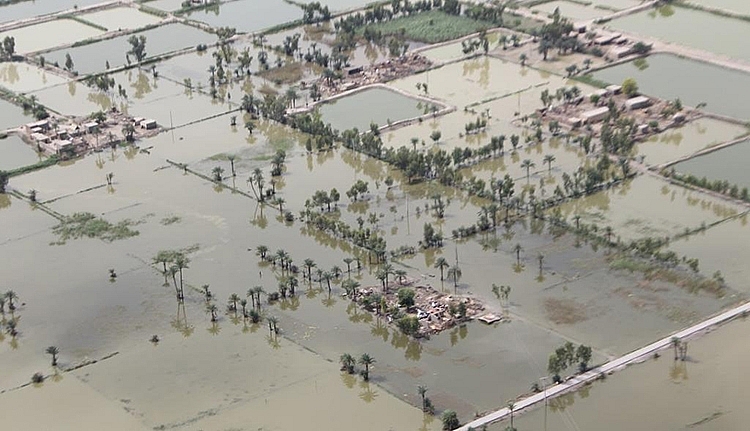 La Nina: Khám phá hình ảnh về La Nina để tìm hiểu về một hiện tượng thời tiết ngược lại với El Nino, và những ảnh hưởng của nó không chỉ đối với khí hậu mà còn đến sinh vật sống.