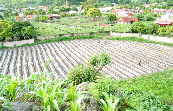 Giúp phụ nữ khởi nghiệp, kinh doanh, liên kết chuỗi giá trị